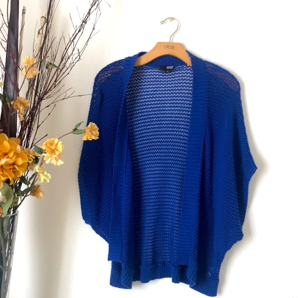 Blue Cardigan